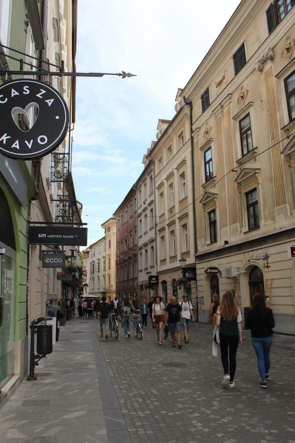 Lovely Old City-Center Apartment Λιουμπλιάνα Εξωτερικό φωτογραφία